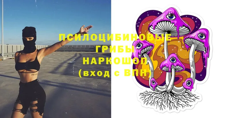 Псилоцибиновые грибы Magic Shrooms  магазин    Емва 